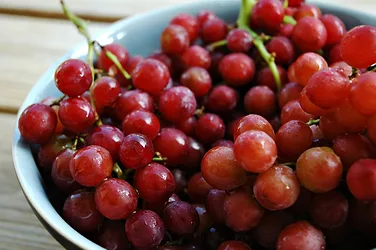 Resveratrol 9