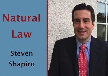 Shapiro 3