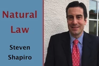 Shapiro 4