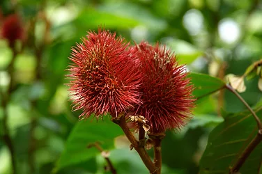 Thinkstockphotos 139547475 1