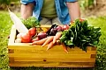 Thinkstockphotos 163204417 teaser 1