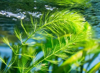 Thinkstockphotos 457974015 0 1