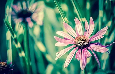 Thinkstockphotos 477399114 1