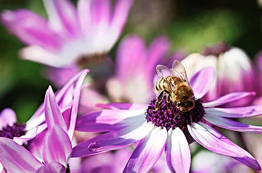 Thinkstockphotos 483426043 2