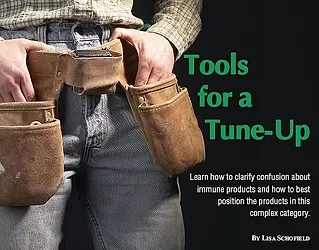 Tools for a tune up 1
