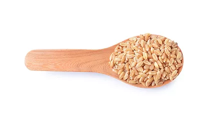 Wheat 1
