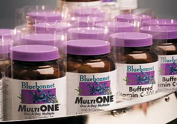 Bluebonnet