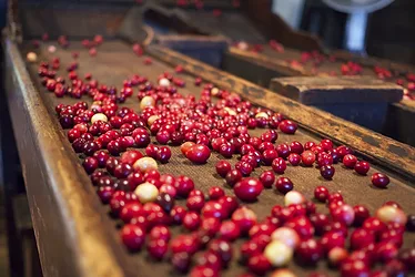 Cranberry