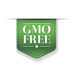 Gmofreemain
