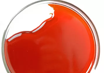 Thinkstockphotos 95365939