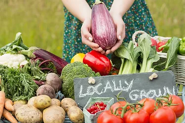 Usdaorganiclocalmain