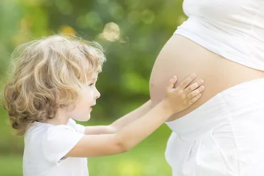 Vitdpregmain