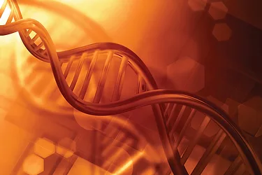 Telomeres