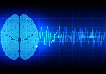 Brain energy