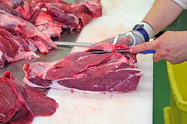 Fsis food safety data
