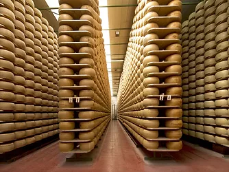Cheese2