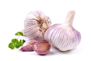 Garlic