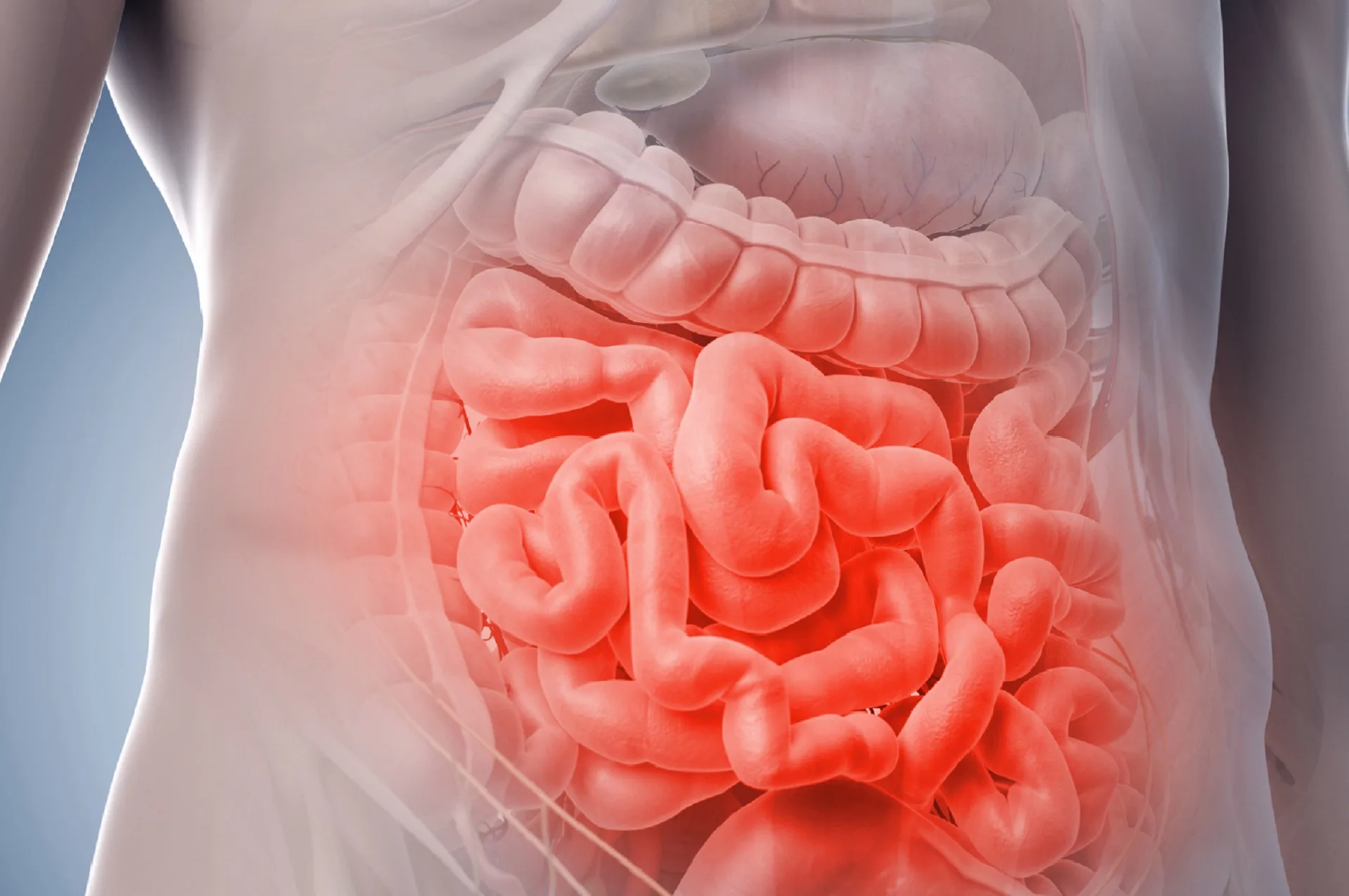 Gut health challenge