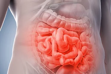 Gut health challenge