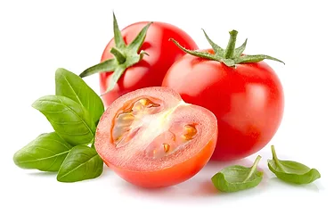 Tomato extract