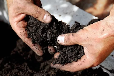 Soil