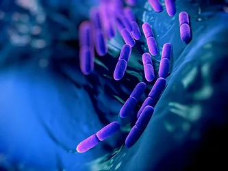 Probiotic 1
