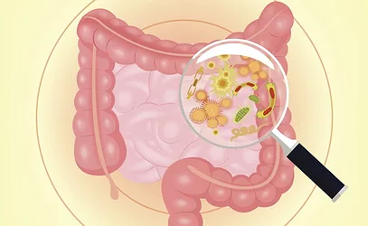 Blog microbiome