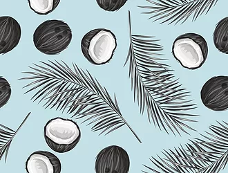 Coconut2