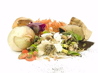 Food waste2