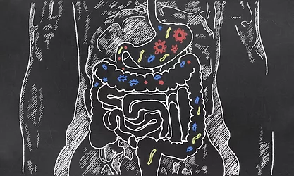 Leakygut