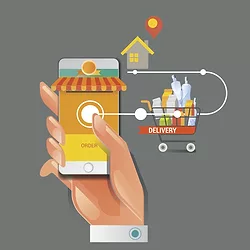 Online grocery2