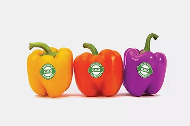 Gmos
