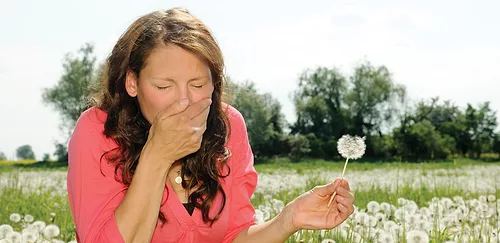 Allergies copy 1 1