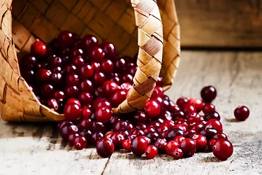 Cranberry extract