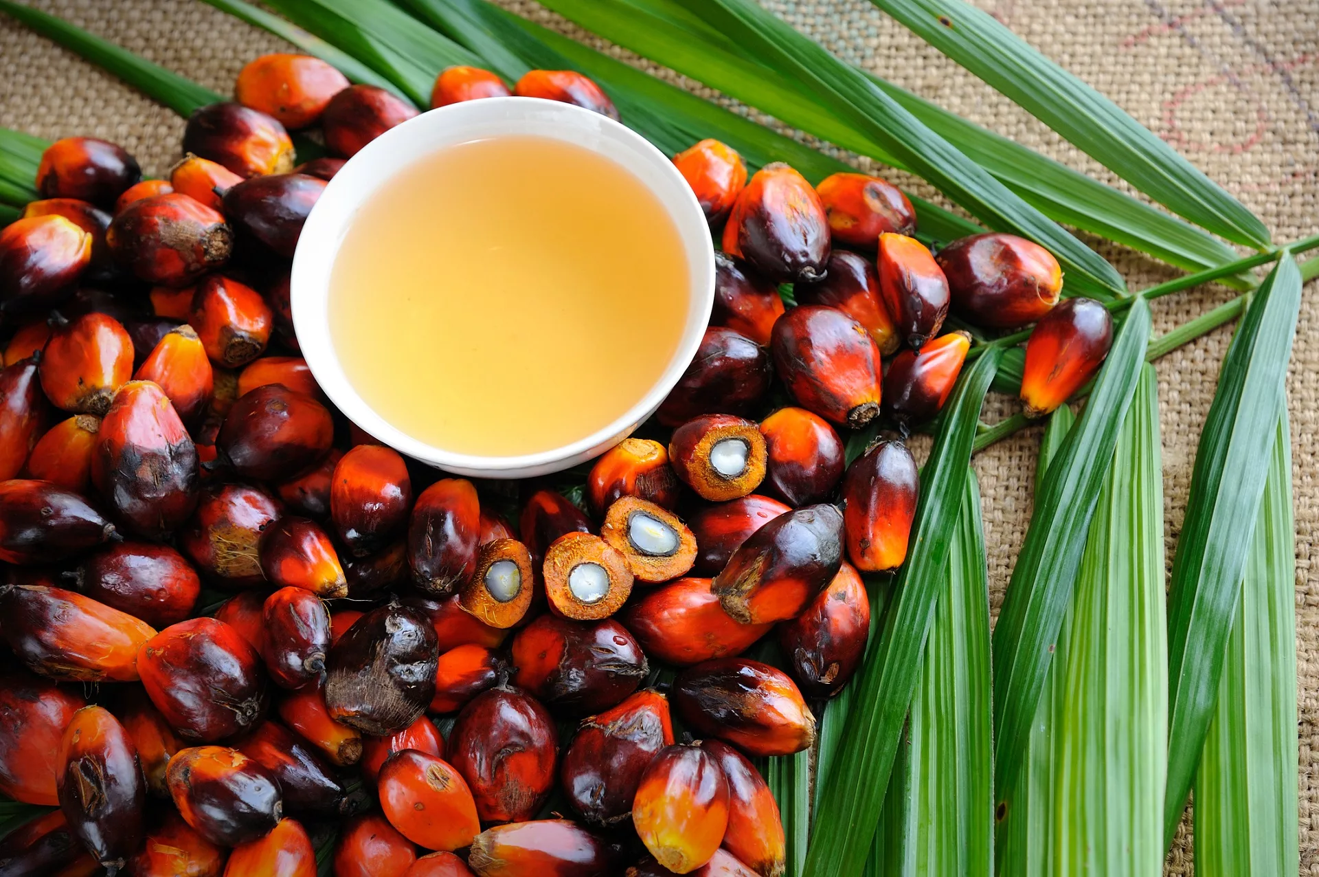 Palm oil 101