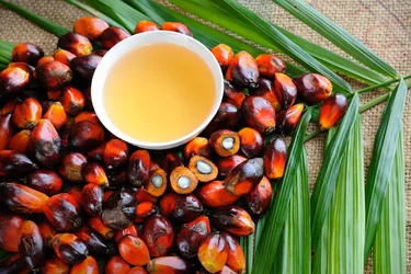 Palm oil 101