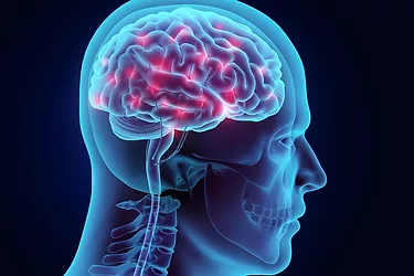 Reversing brain disorders
