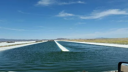 Algae farm