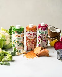 Fawen2