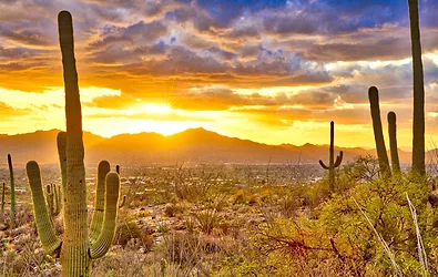Arizona 1