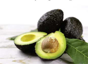 Avocado