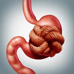 Stomach2