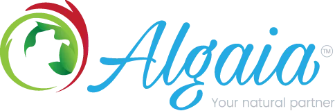 Algaia