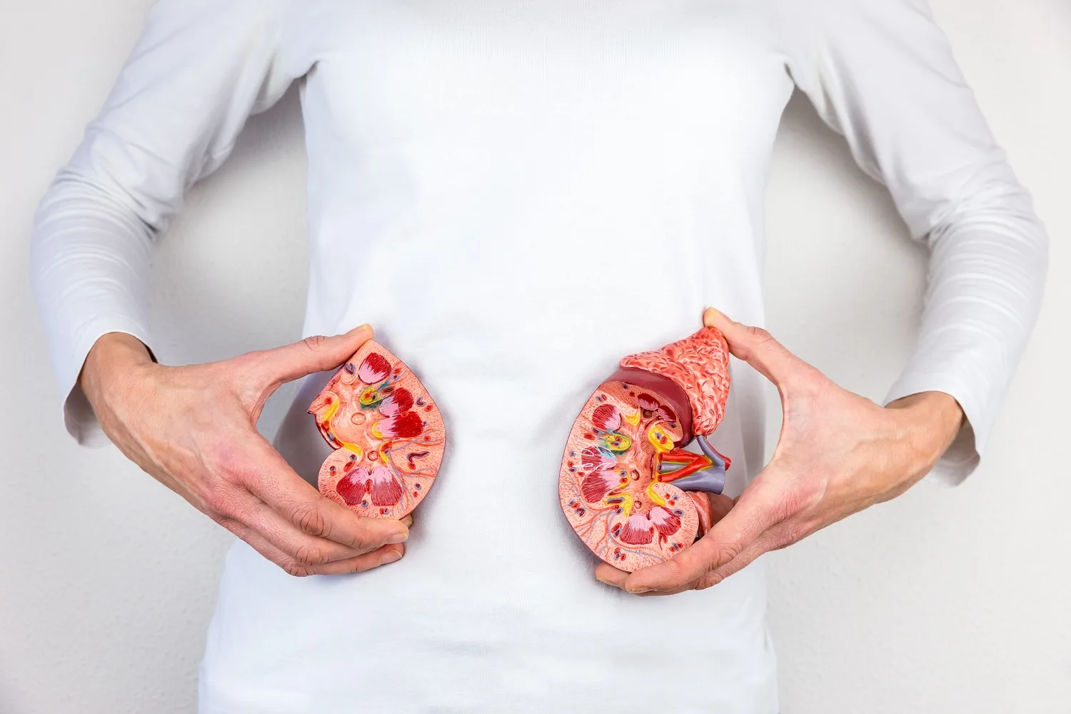 Urology2