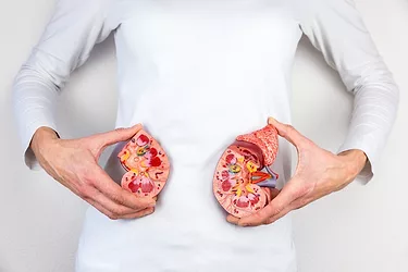 Urology2