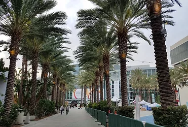 Expowest