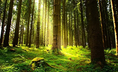 Gettyimages 517129164 e1521725695934