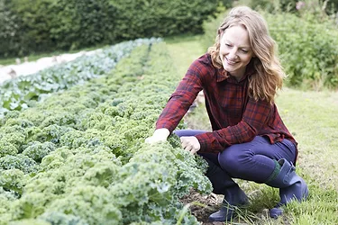 Farming2