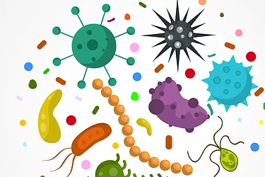 Microbiome