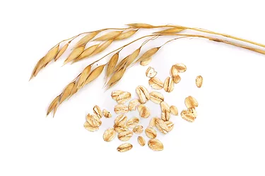 Oats
